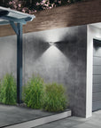 Top Light Puk Maxx Wall