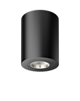 RIBAG SPARK