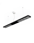 GRAU Xt-a