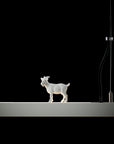LichtRaumFunktion LightLaneTune©