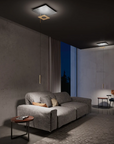 ICONE Petra