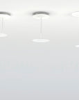 millelumen CIRCLES