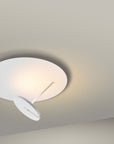 HOLTKÖTTER SUPERNOVA DISC