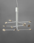 ICONE Arbor