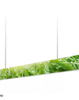 GRIMMEISEN ONYXX LINEA Gras Branding