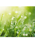 GRIMMEISEN ONYXX LINEA Gras Branding