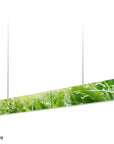 GRIMMEISEN ONYXX LINEA Gras Branding