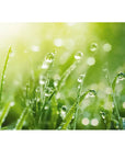 GRIMMEISEN ONYXX LINEA Gras Branding