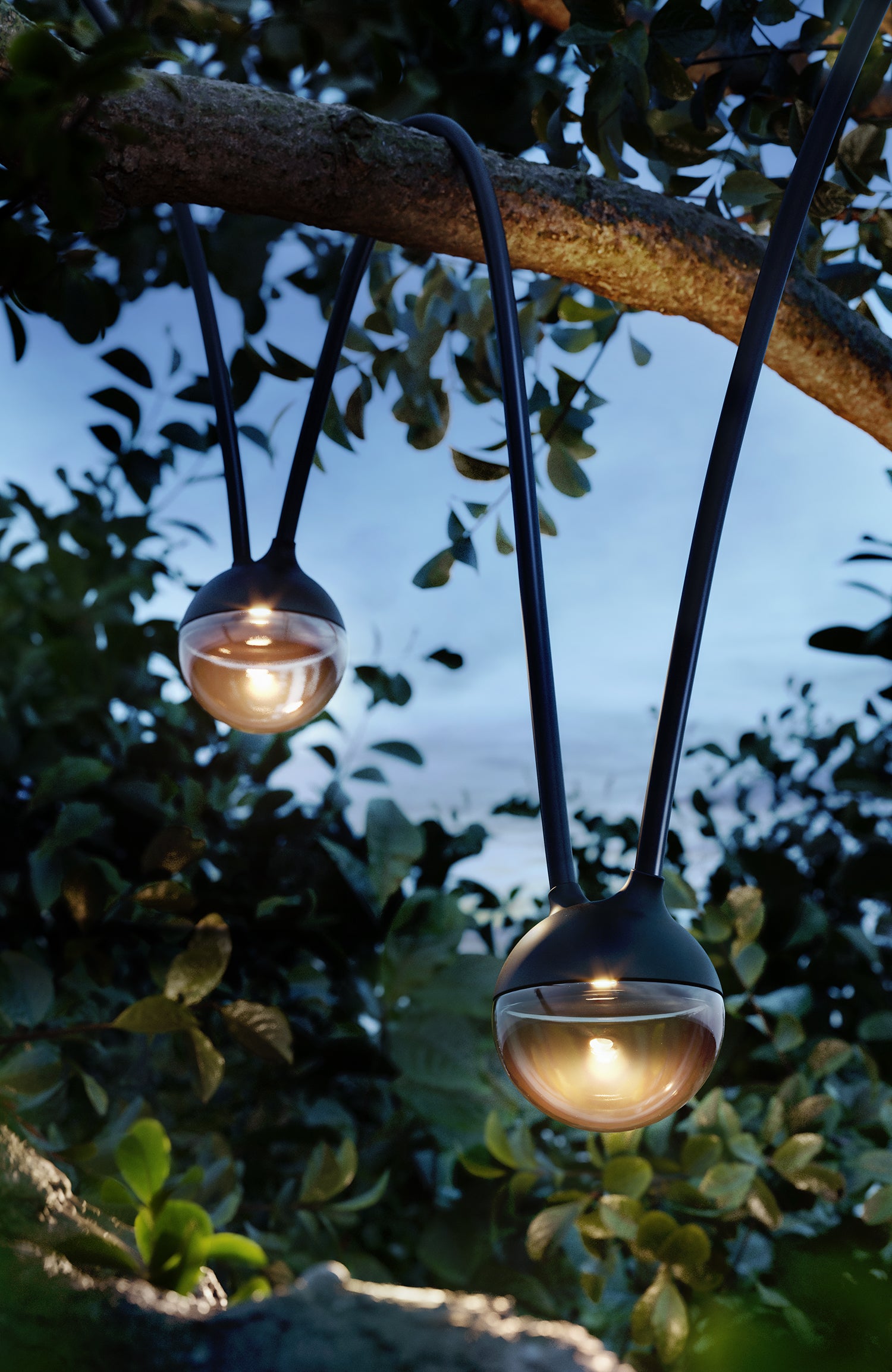 IP44.DE cherry bubbls