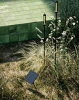IP44.DE reed