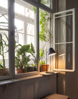 NYTA Tilt Table