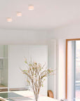 serien.lighting REEF