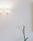 serien.lighting REEF