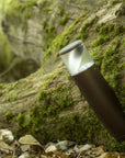 ROGER PRADIER Bamboo