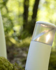 ROGER PRADIER Bamboo
