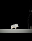 LichtRaumFunktion LightLaneTune©